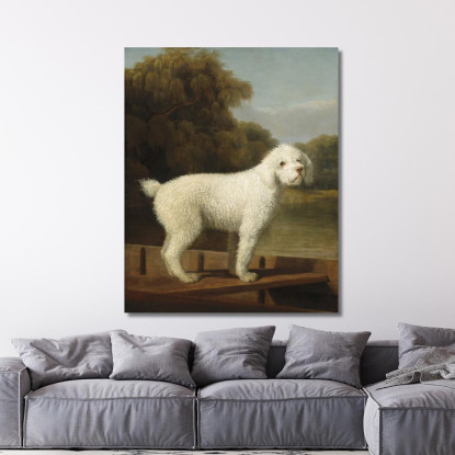 Barboncino Bianco In Un Barchino George Stubbs gst56 quadro stampato su tela