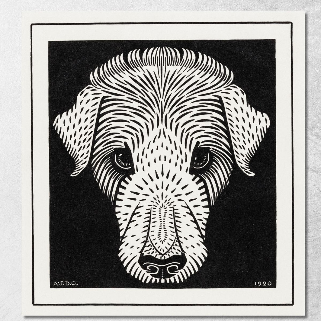 Testa Di Cane Julie de Graag jdg17 quadro stampato su tela Testa Di Cane Julie de Graag jdg17 quadro stampato su tela