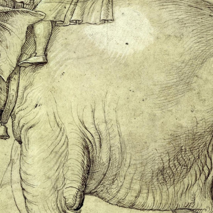 L'Elefante Annone Raffaello Sanzio rph39 quadro stampato su tela