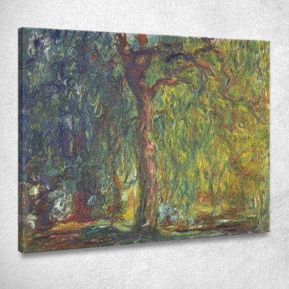 Salice Piangente Claude Monet mnt371 quadro stampato su tela