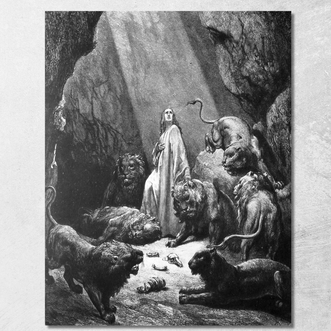 Daniele Nei Leoni Doré Gustave gdr15 quadro stampato su tela Daniele Nei Leoni Doré Gustave gdr15 quadro stampato su tela