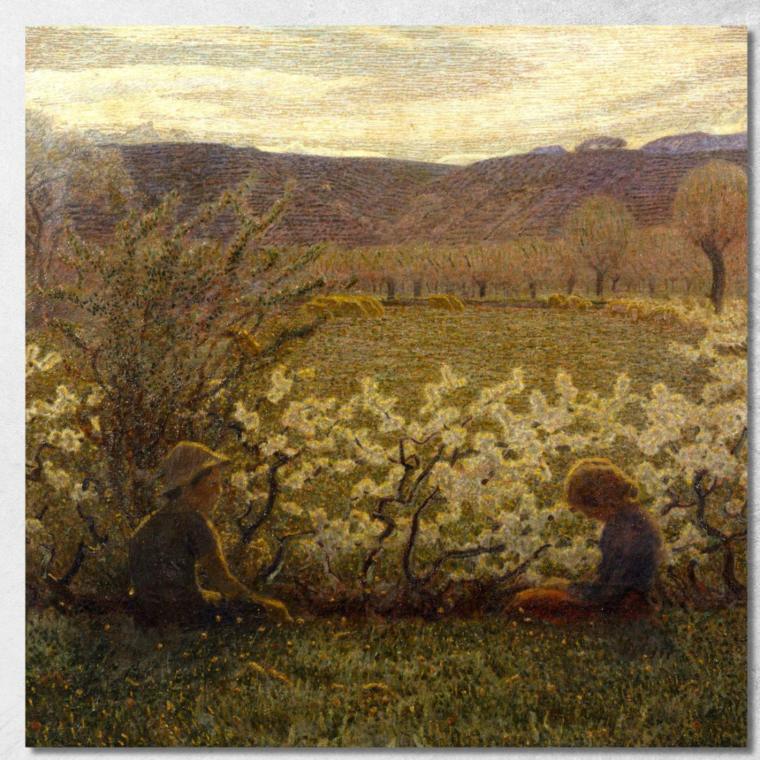 Campo In Fiore G. Pellizza da Volpedo gpv3 quadro stampato su tela Campo In Fiore G. Pellizza da Volpedo gpv3 quadro stampato su tela