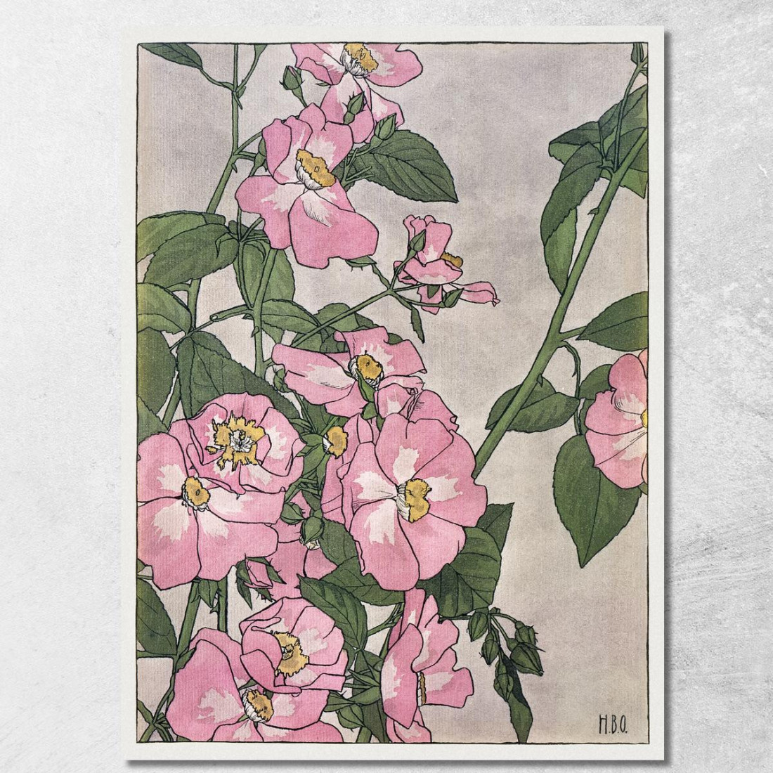 Rosa Della Prateria Hannah Borger Overbeck hbo14 quadro stampato su tela Rosa Della Prateria Hannah Borger Overbeck hbo14 quadro stampato su tela