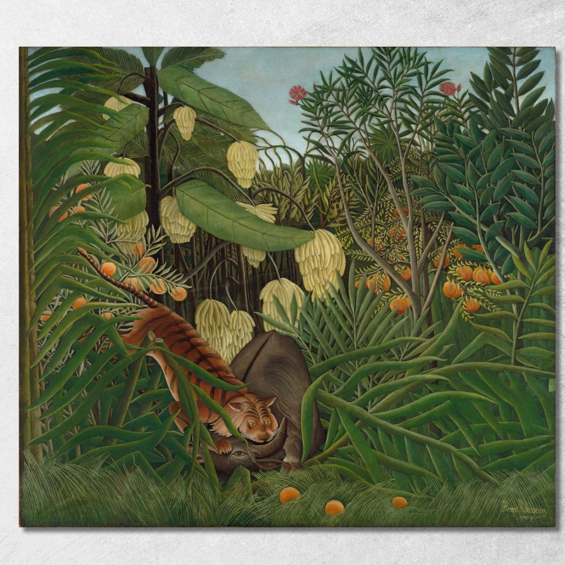 Lotta Tra Una Tigre E Un Bufalo Henri Rousseau hrs6 quadro stampato su tela Lotta Tra Una Tigre E Un Bufalo Henri Rousseau hrs6 quadro stampato su tela
