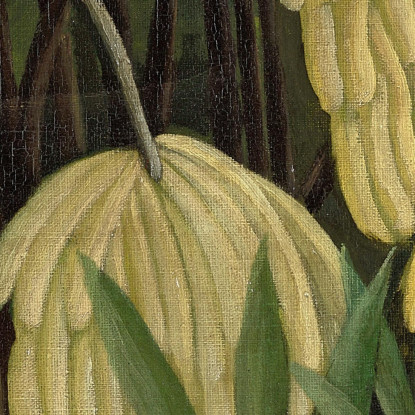 Lotta Tra Una Tigre E Un Bufalo Henri Rousseau hrs6 quadro stampato su tela