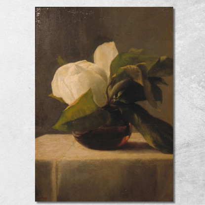 Magnolia John La Farge jlf16 quadro stampato su tela