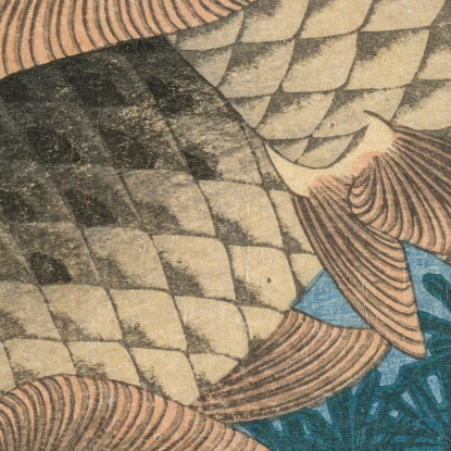 Nuoto Della Carpa Dalle Erbacce Dell'Acqua katsushika hokusai khk8 quadro stampato su tela