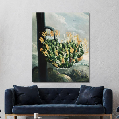 L'Aloe Del Tempio Di Flora Robert John Thornton rjt13 quadro stampato su tela