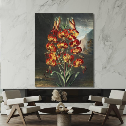 Il Superbo Giglio Del Tempio Di Flora Robert John Thornton rjt31 quadro stampato su tela