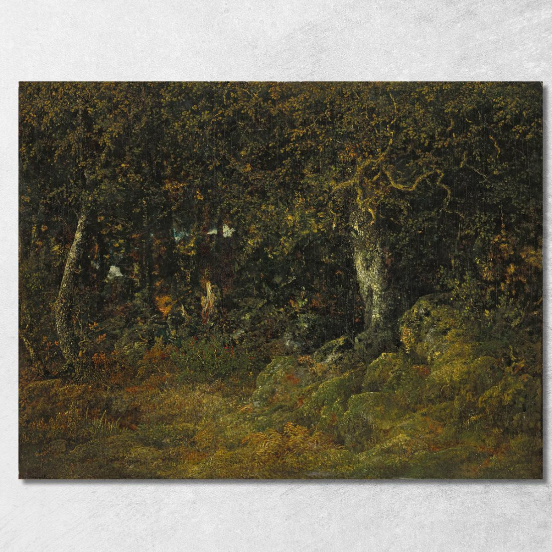 La Quercia Rocciosa Théodore Rousseau trs24 quadro stampato su tela La Quercia Rocciosa Théodore Rousseau trs24 quadro stampato su tela