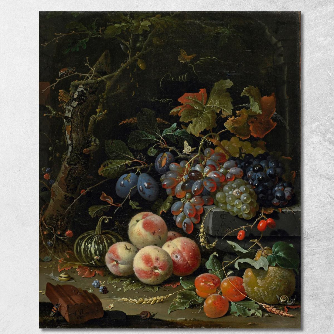 Natura Morta Olandese Con Frutta Fogliame E Insetti Abraham Mignon amn1 quadro stampato su tela Natura Morta Olandese Con Frutta Fogliame E Insetti Abraham Mignon amn1 quadro stampato su tela