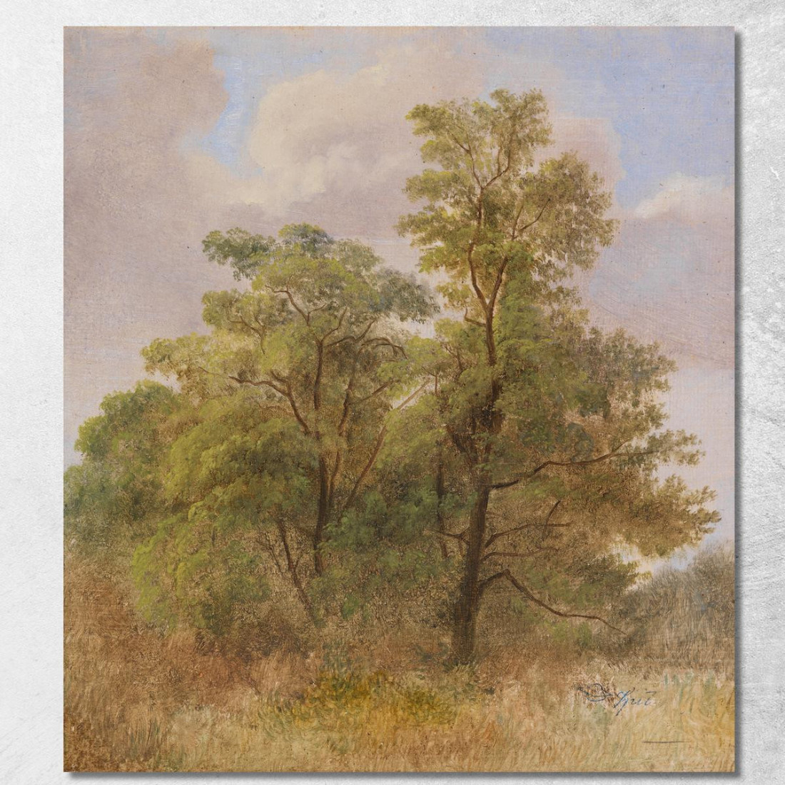 Studio Degli Alberi Carl Spitzweg csp4 quadro stampato su tela Studio Degli Alberi Carl Spitzweg csp4 quadro stampato su tela