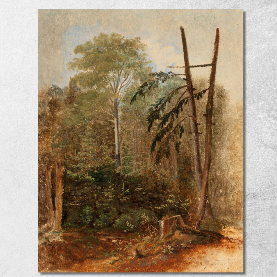 Studio Di Un Paesaggio Boschivo Carl Spitzweg csp53 quadro stampato su tela Studio Di Un Paesaggio Boschivo Carl Spitzweg csp53 quadro stampato su tela