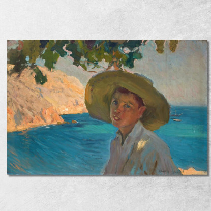 Ragazzo Con Sombrero Jávea Ragazzo Con Sombrero Jávea Joaquín Sorolla jsr17 quadro stampato su tela