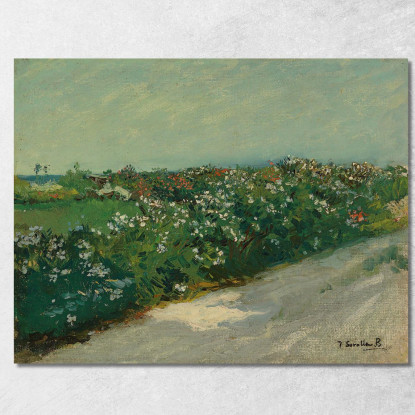 Malvarrosa Joaquín Sorolla jsr60 quadro stampato su tela