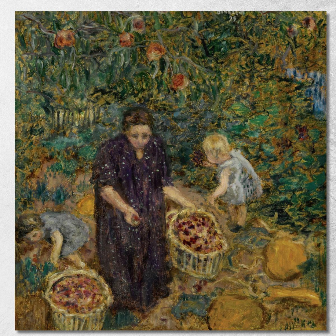Raccolta Della Frutta Pierre Bonnard pbn20 quadro stampato su tela Raccolta Della Frutta Pierre Bonnard pbn20 quadro stampato su tela