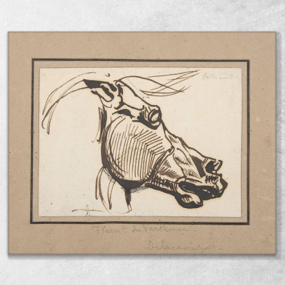 Testa Di Cavallo Dal Partenone Eugène Delacroix edx51 quadro stampato su tela