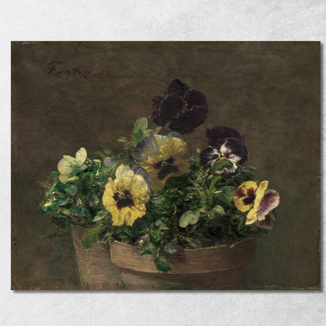 Viole Del Pensiero In Vaso Henri Fantin-Latour hft76 quadro stampato su tela Viole Del Pensiero In Vaso Henri Fantin-Latour hft76 quadro stampato su tela